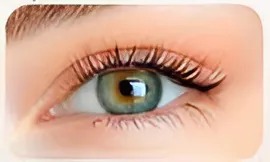 Hybrid - Auffüllen (2Wo)