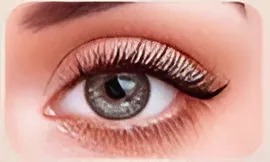 Light Volume - Neusetz