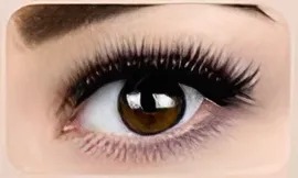 Volume - Auffüllen (3Wo)