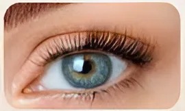 Classic - Auffüllen (4Wo)